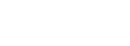 Logo Walter Schmidt Zement GmbH